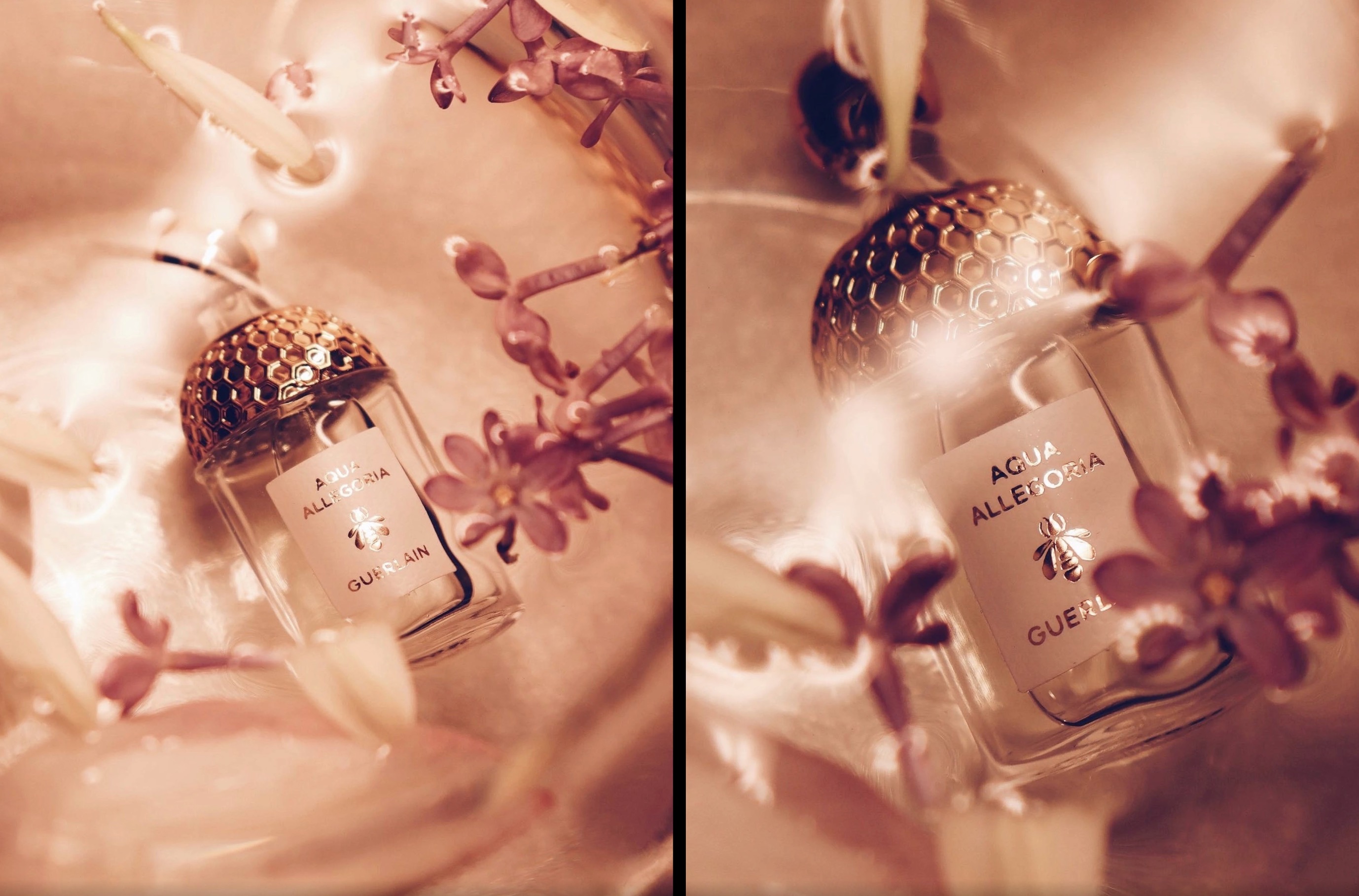 Guerlain Aqua Allegoria